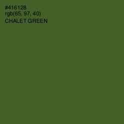 #416128 - Chalet Green Color Image
